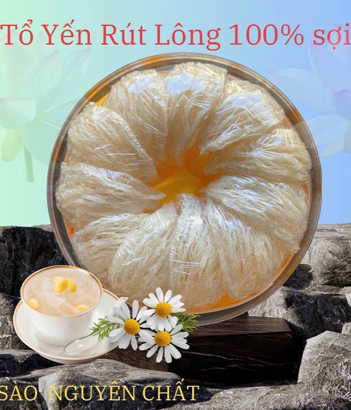 Tổ Yến rút lông 100% sợi - 100g nguyên chất Yến sào Nha Trang